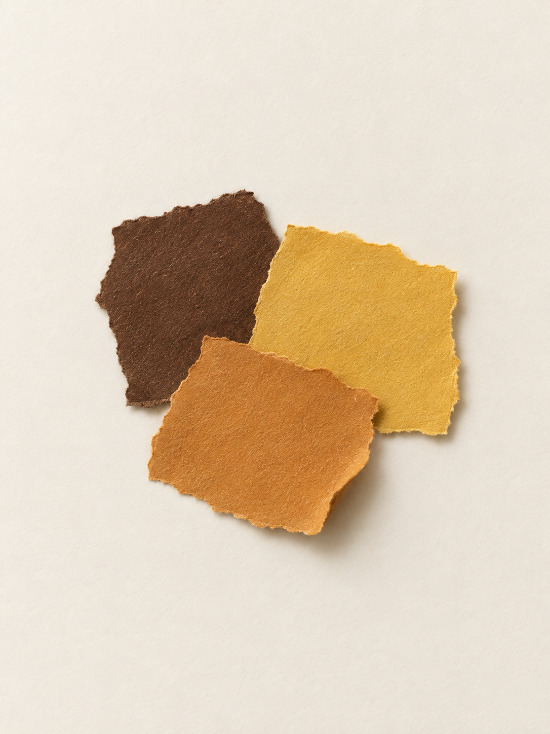 Why Colour Changes from Harvest to Table