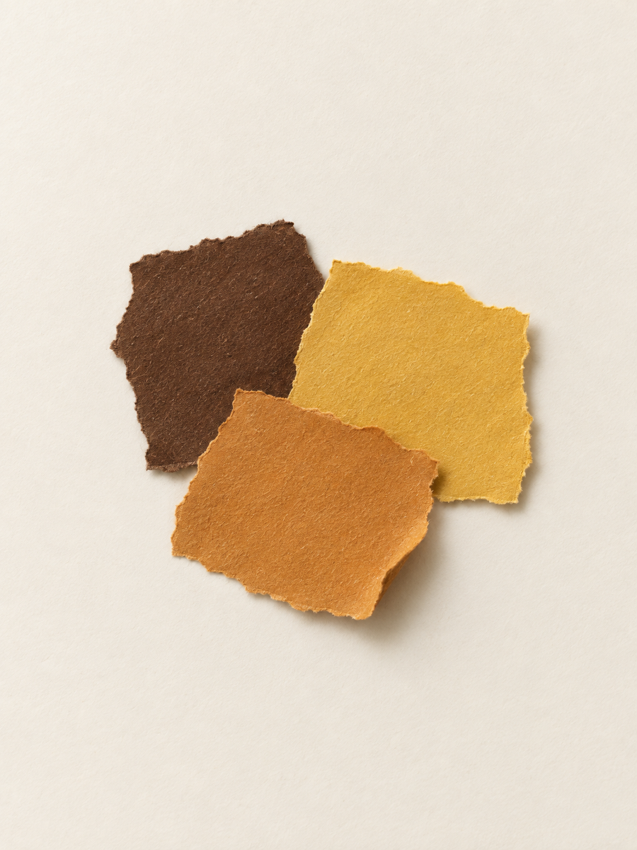 Why Colour Changes from Harvest to Table