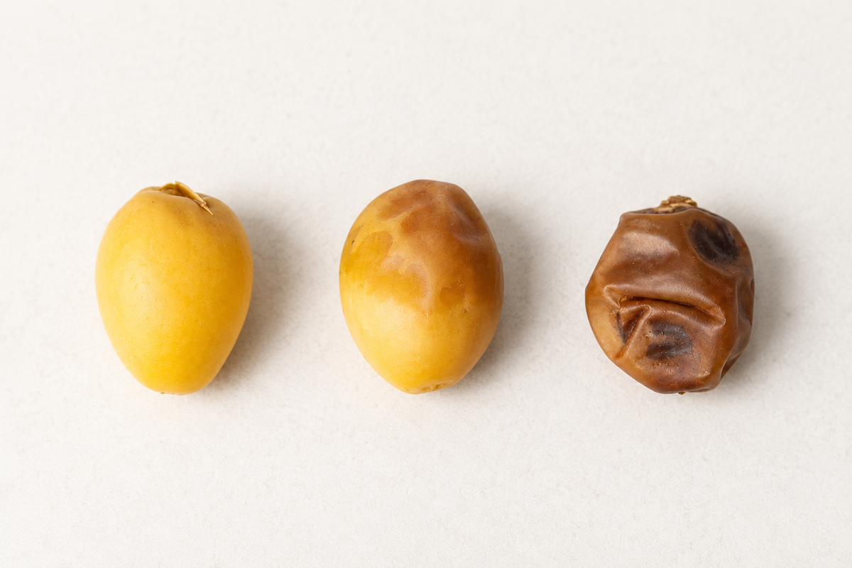 A Guide to the Types of Dates