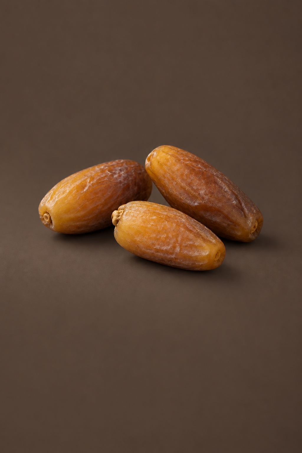Algerian Dates and the Deglet Nour of Tolga